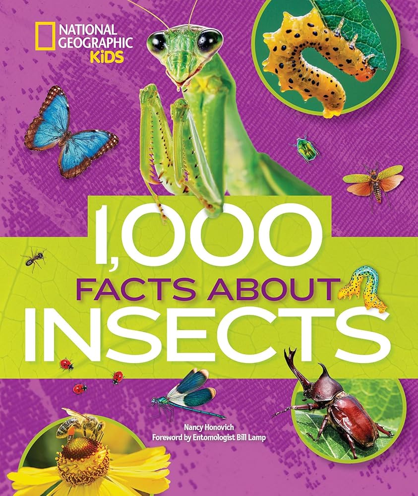 1,000 Facts About Insects cover image