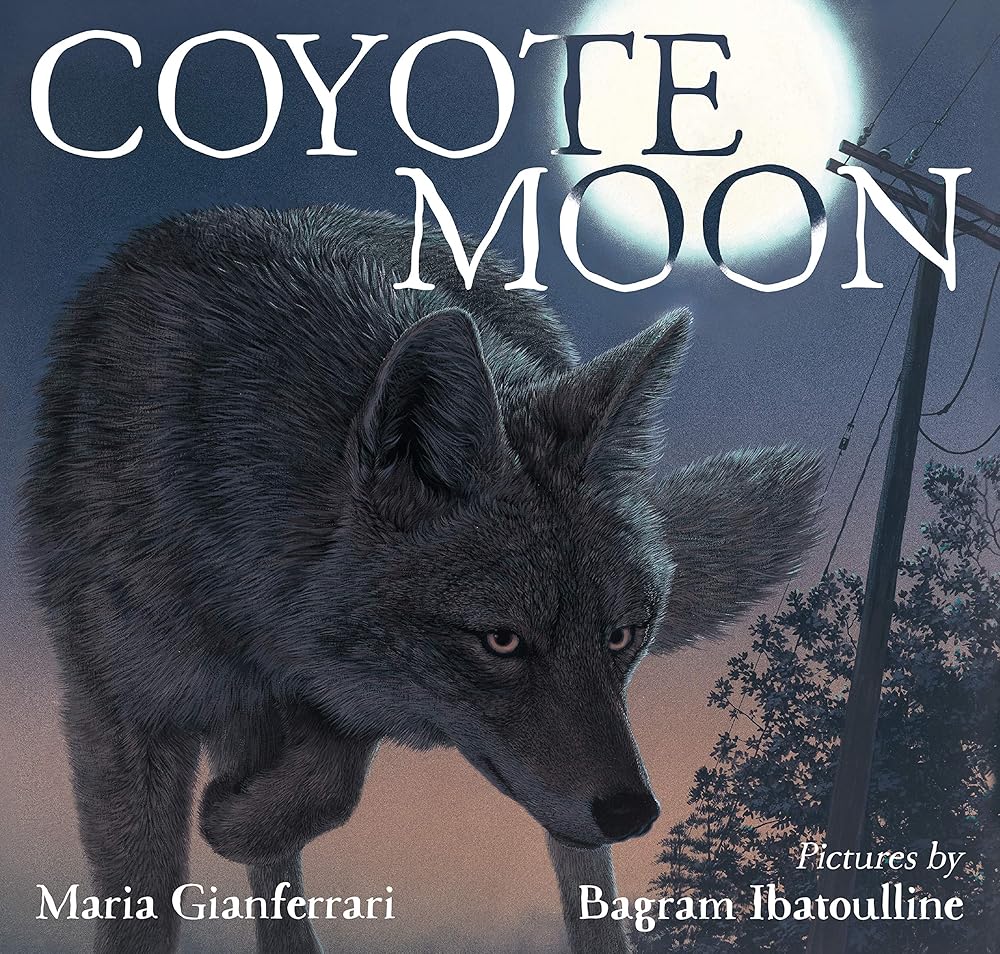 Coyote Moon cover image