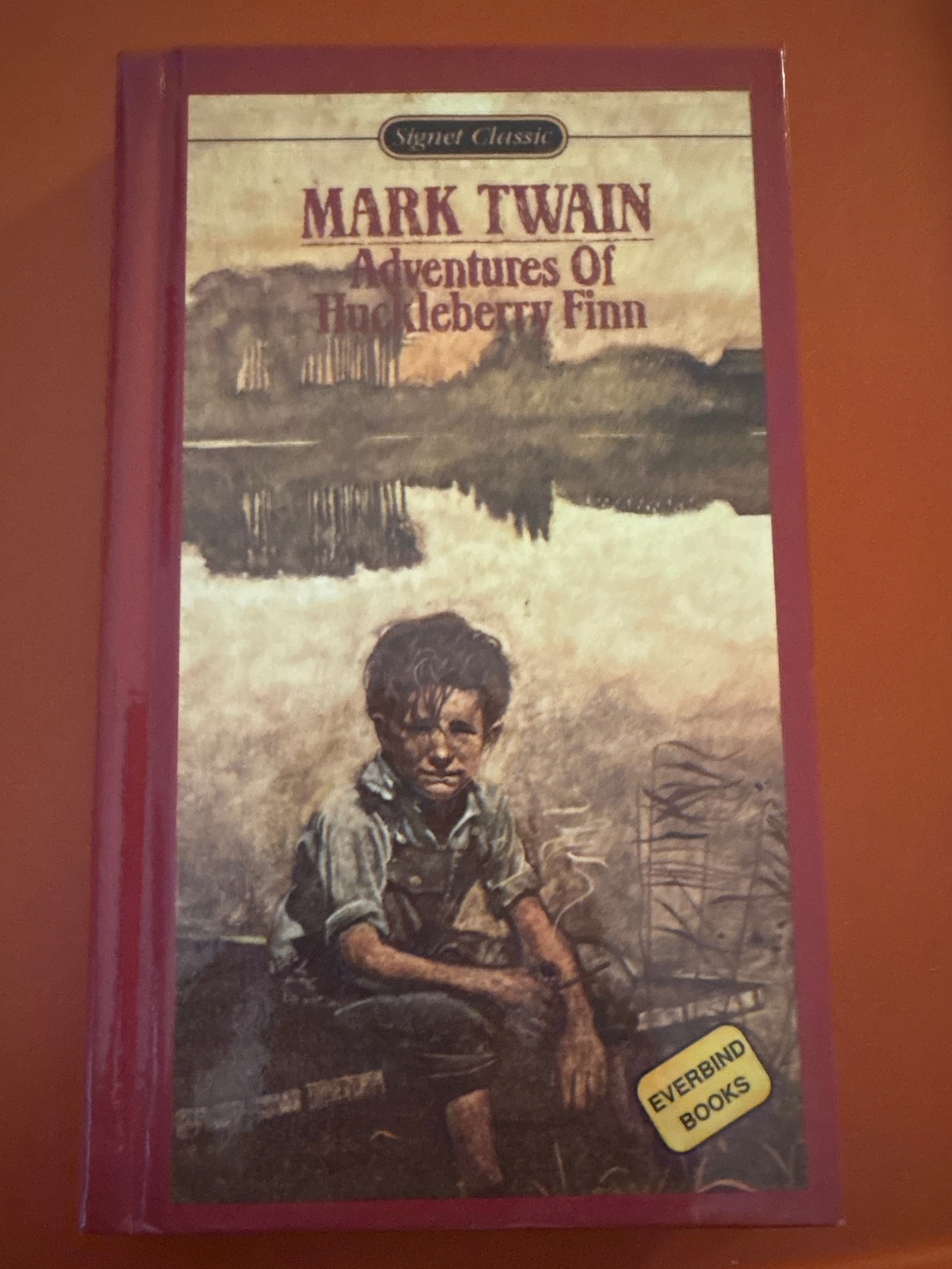 Adventures of Huckleberry Finn